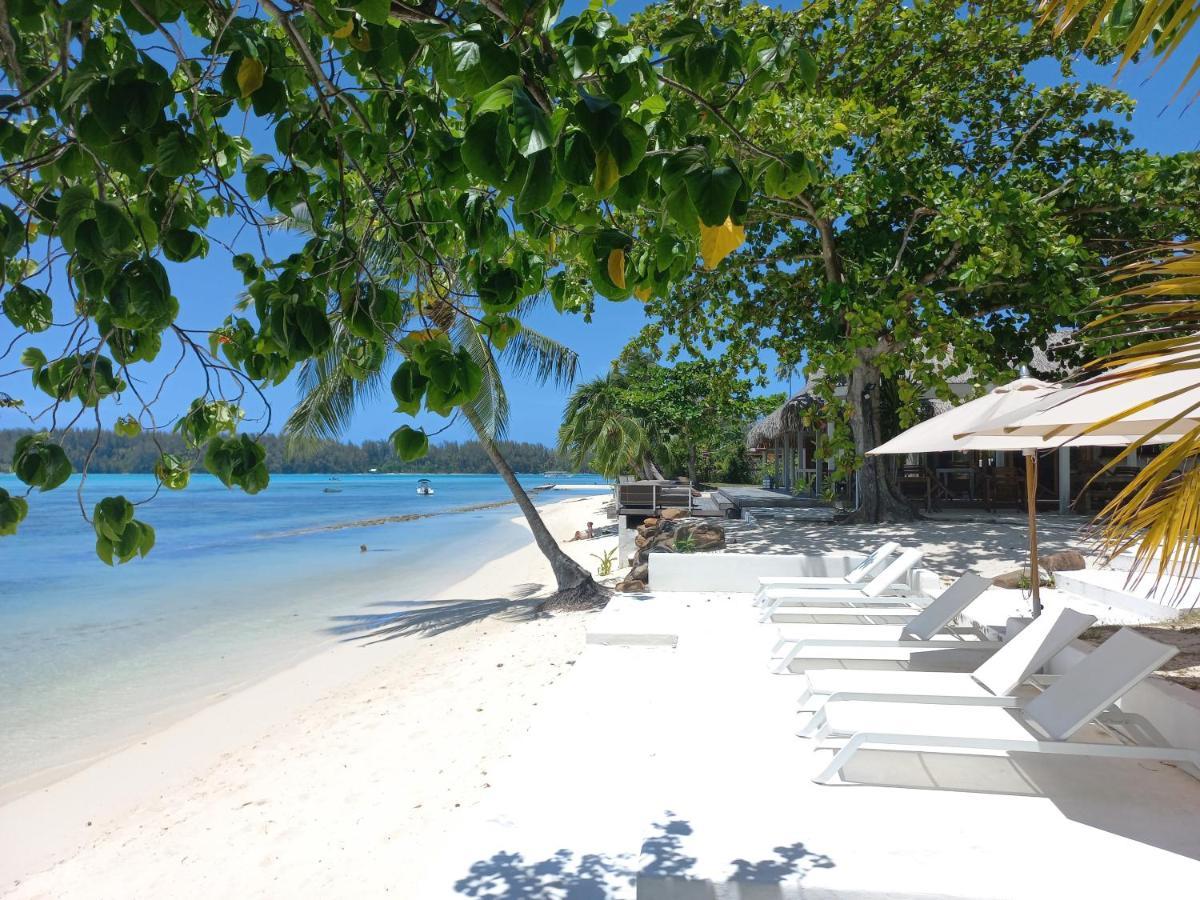 Moorea Island Beach Hotel Eksteriør billede