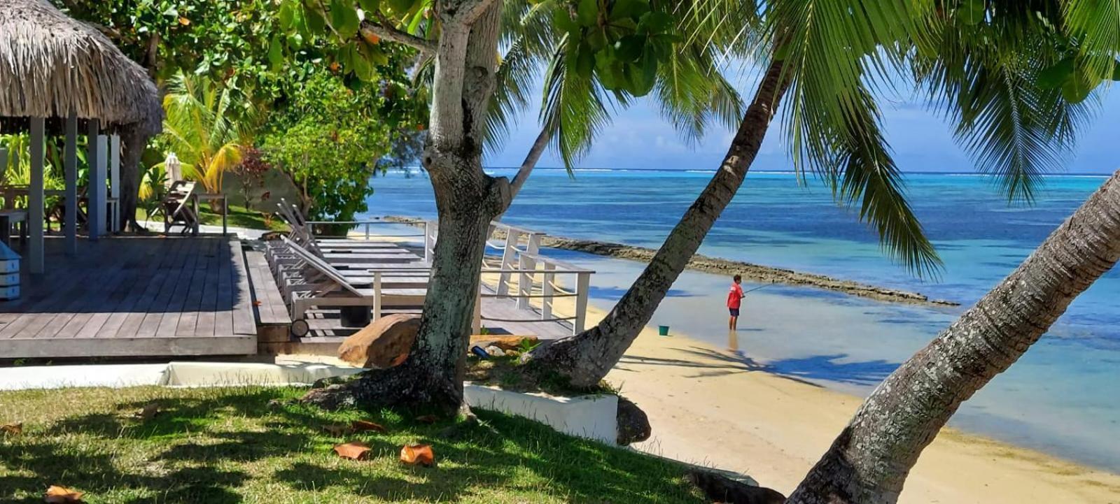 Moorea Island Beach Hotel Eksteriør billede