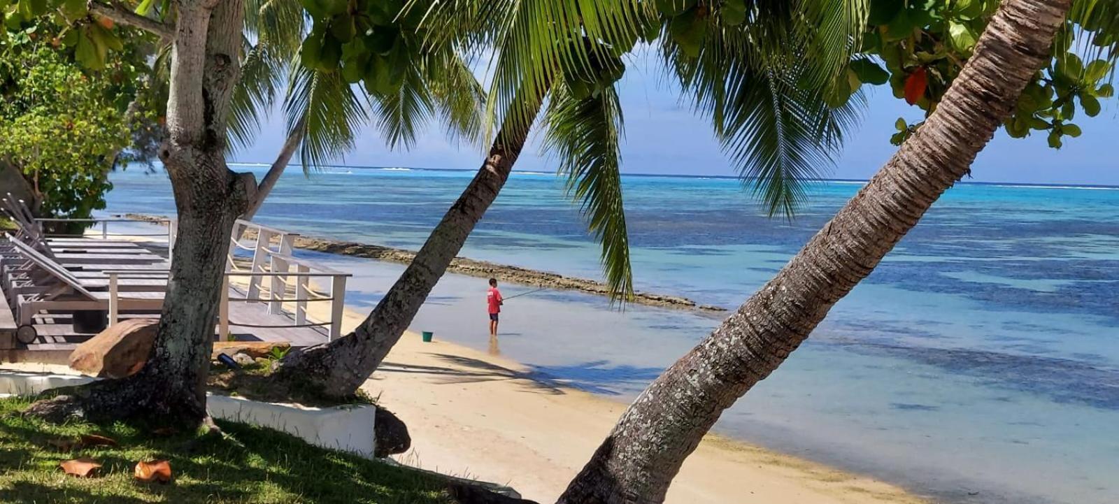 Moorea Island Beach Hotel Eksteriør billede